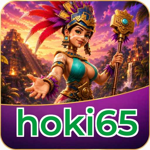 hoki65 Technical Info